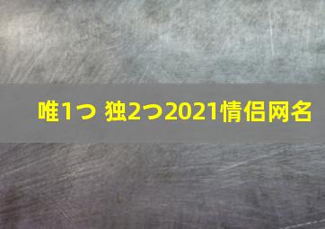 唯1つ 独2つ2021情侣网名